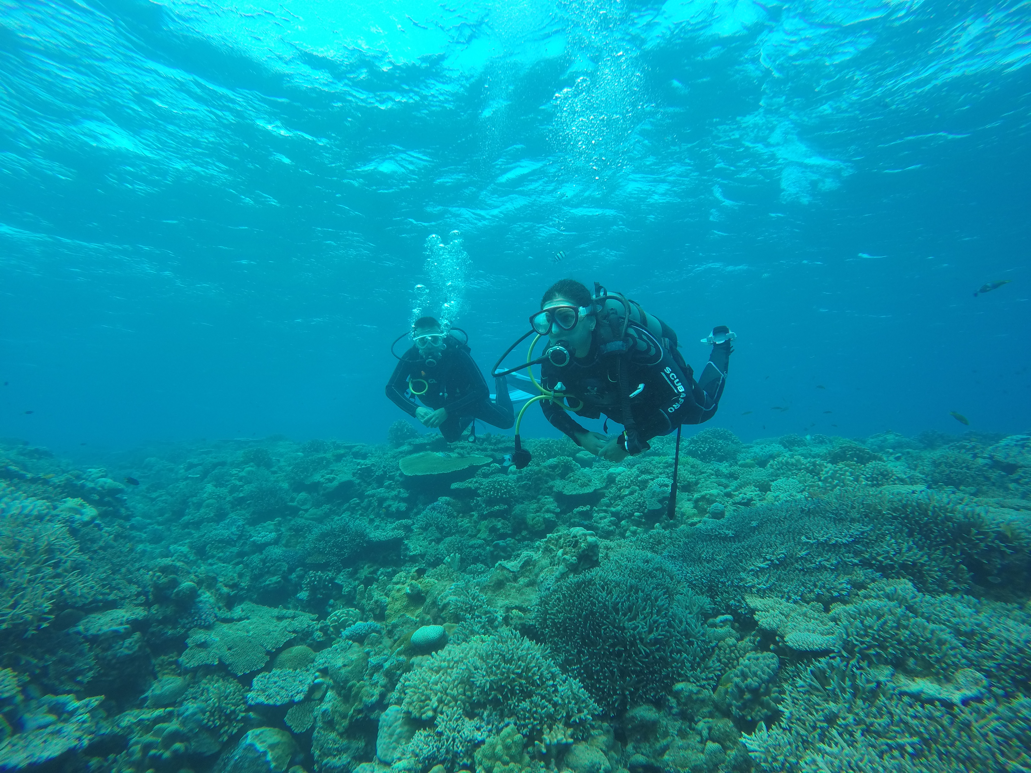 【私たちが伝えるアソビュー】僕、入社2年目に沖縄に移住しましたw