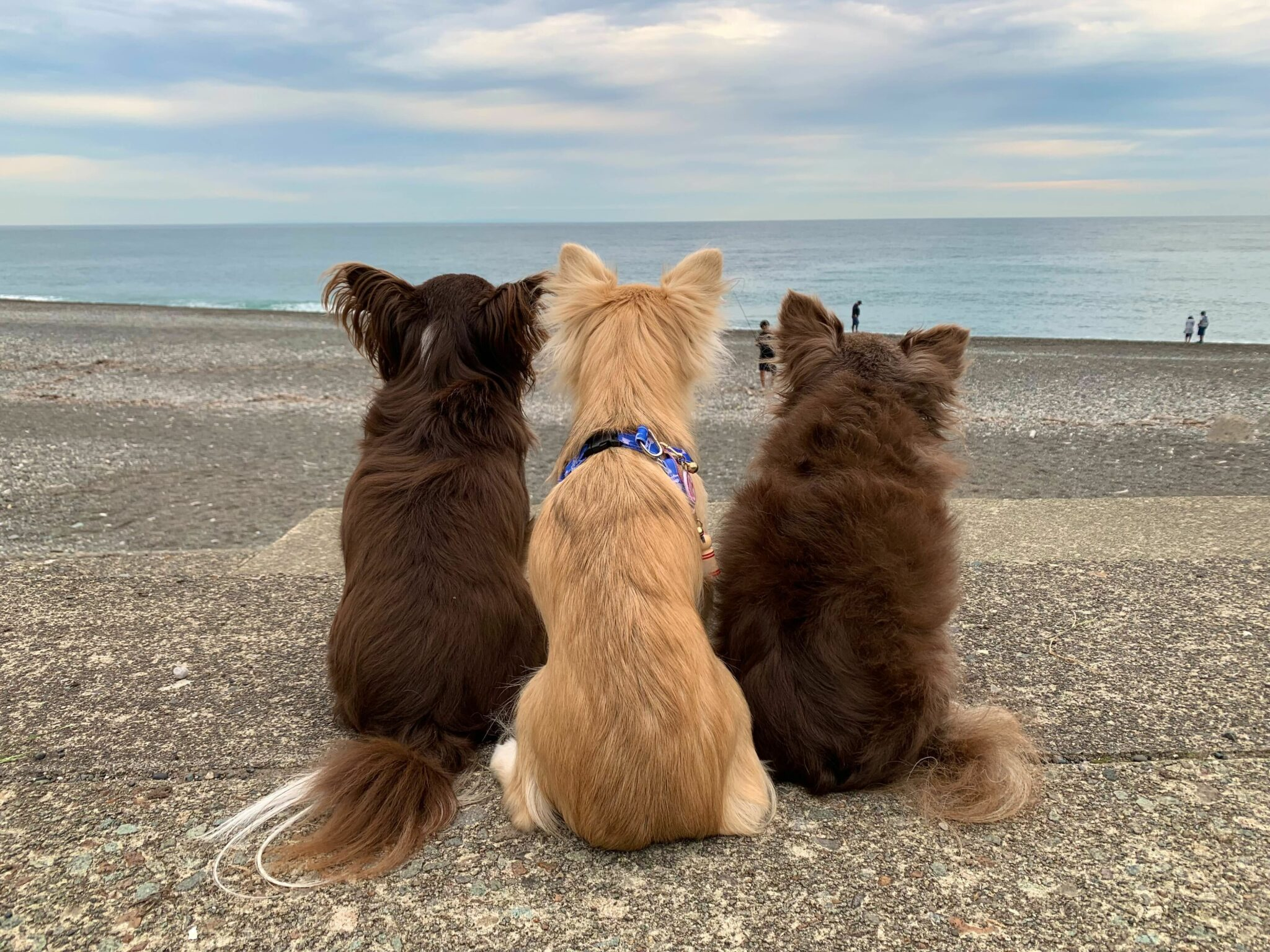 他メンバーのワーケーションに心動かされたメンバーのストーリー