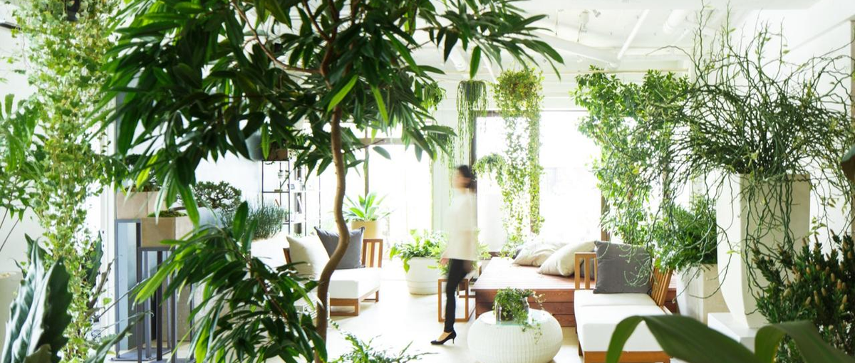 植物でデザインをする会社の総務・財務の管理本部責任者募集！