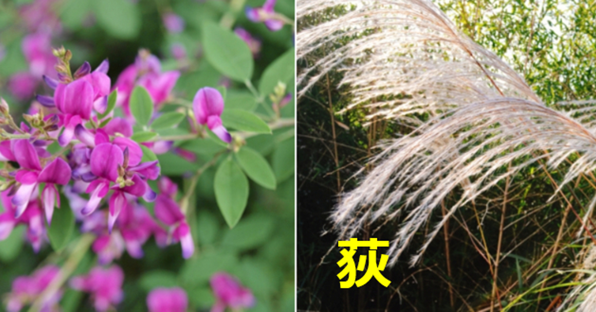 荻萩あるある。紛らわしいと思う漢字を持つわたし。 | 株式会社アプレ