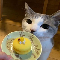 名取 優衣さんのプロフィール