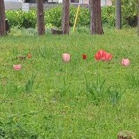 伊藤 将大さんのプロフィール