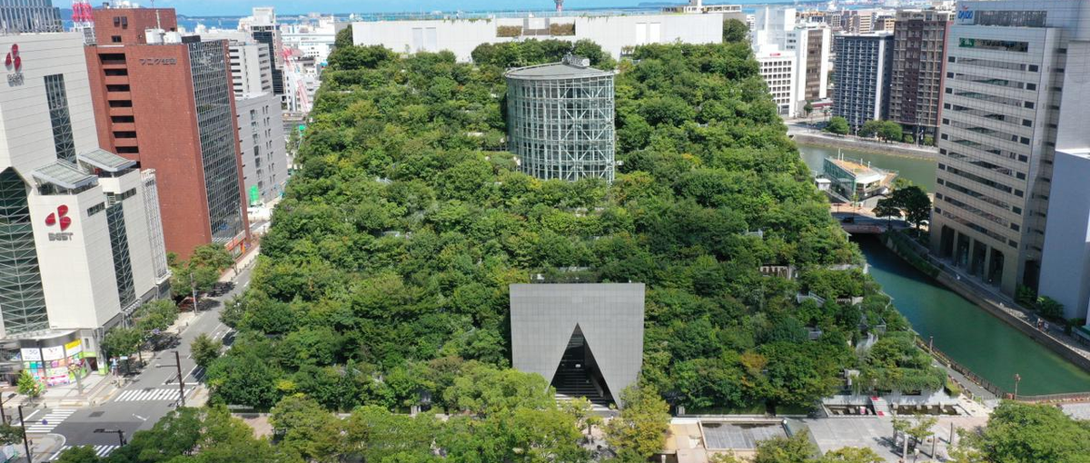 福岡天神すぐそば|DX化をサポートするSalesforceエンジニアを募集