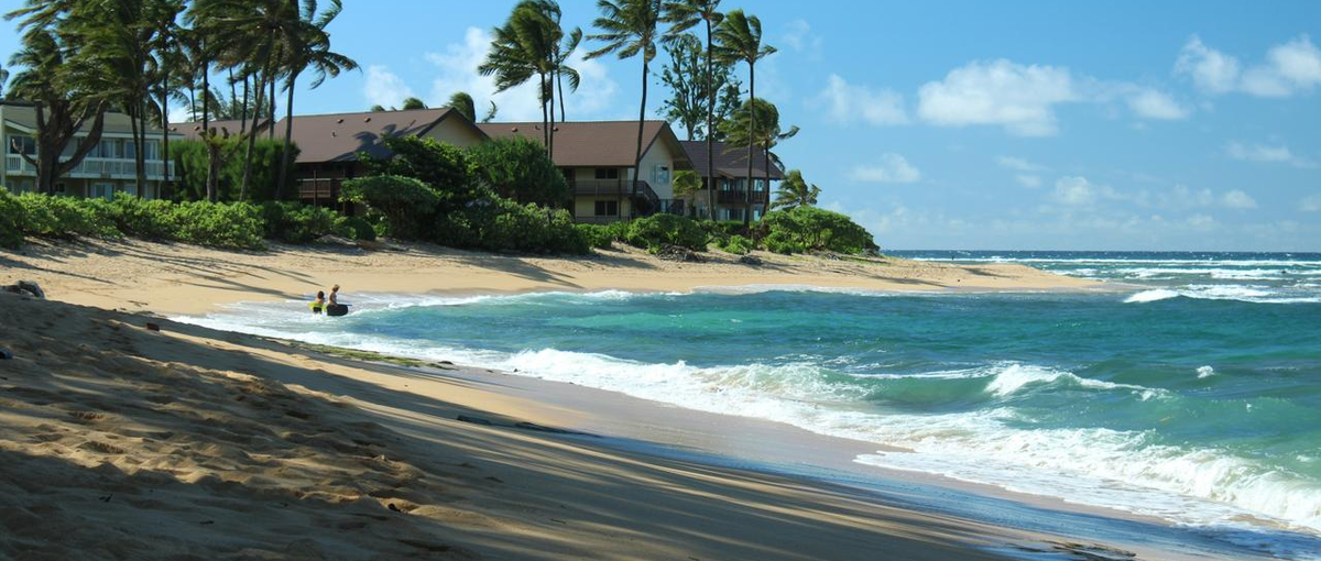 ハワイを語ると止まらない！というあなたを、仲間として探しています！