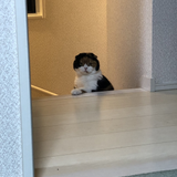 田川 純一