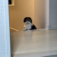 田川 純一さんのプロフィール