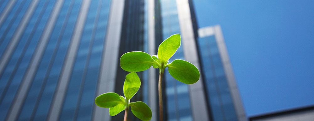 【世界の平和という目標に本気で挑戦しています！】ピースウィンズジャパンで一緒に働きませんか？