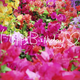 A 子