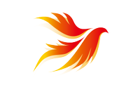 BUSINESS CONTEST KINGの会社情報