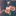 西脇 菜摘