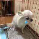稀代 優介