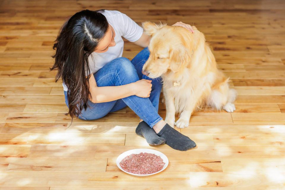 私の愛する犬たち 危なく