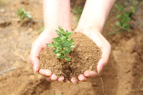 社会に対して私たちができること～フィネスのCSR活動～