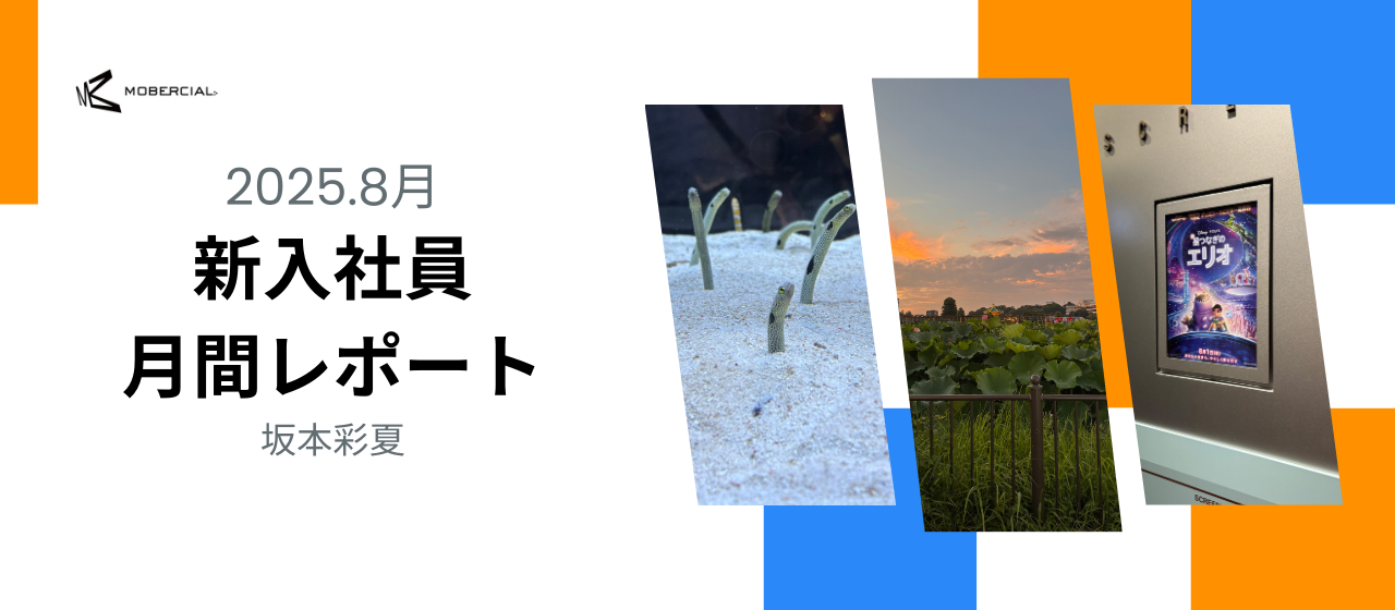 入社５ヶ月⁉️８月月間レポート