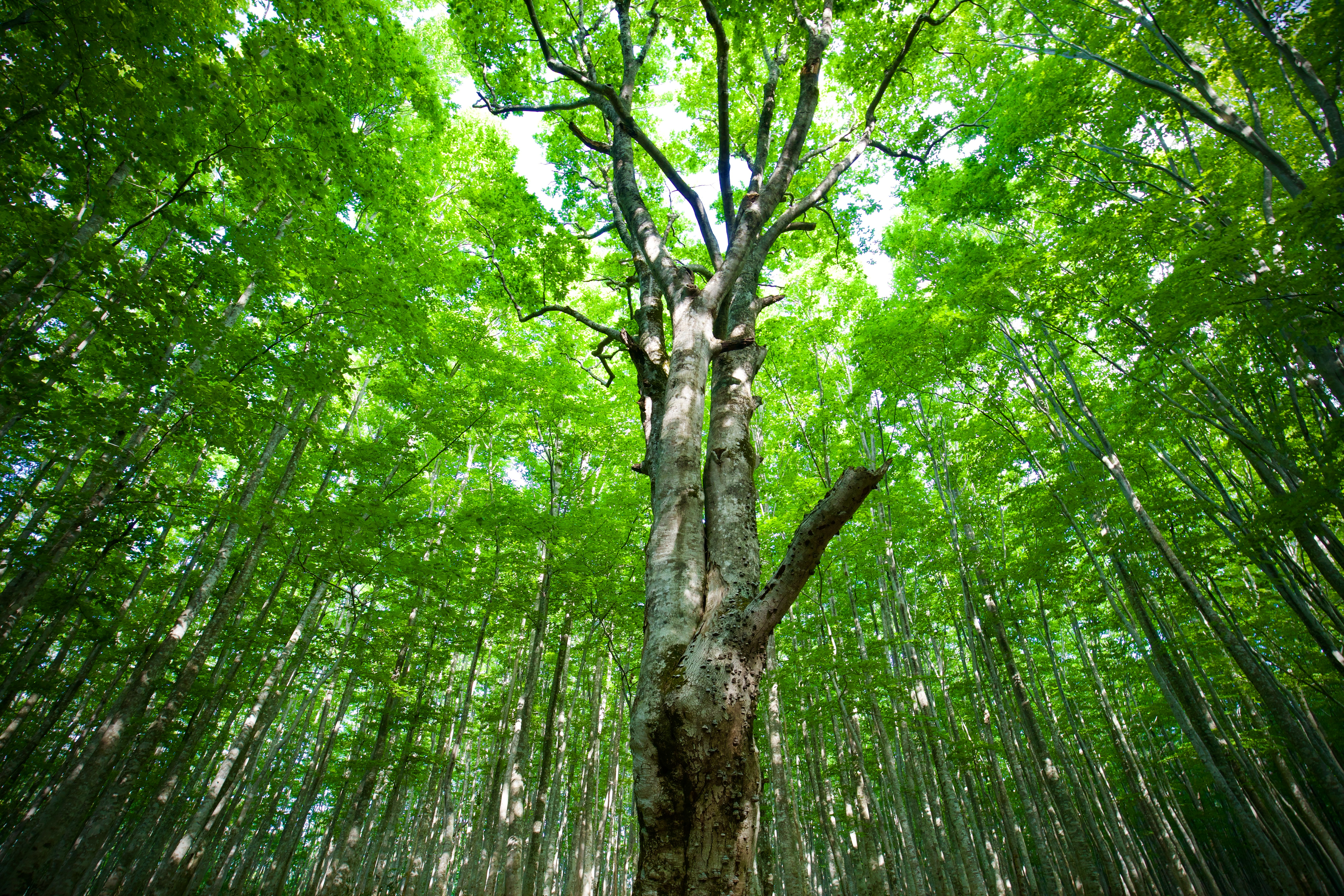 【よく聞かれる質問】人事コンサルって何してる人なんですか？