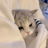 山崎 二千翔