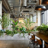 自社輸入しているフェイクグリーン。リアルな質感と定評のある商品が沢山あります。