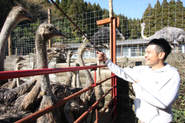 日南市のダチョウ生産者