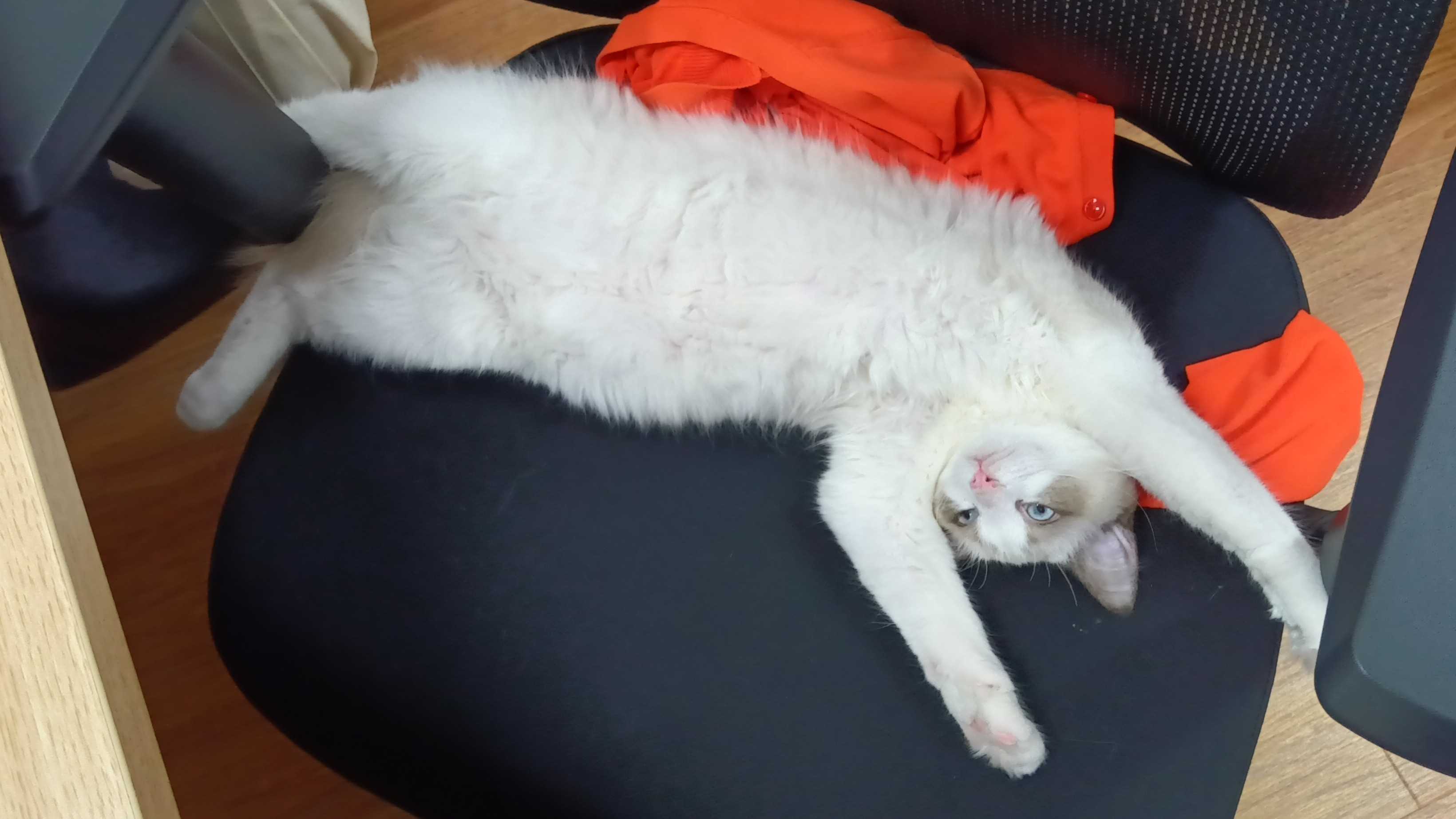 「働くを豊かに」ってどうやって？