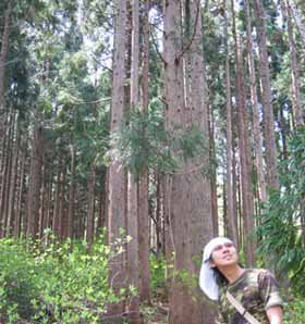 Katsuhiko Matsui