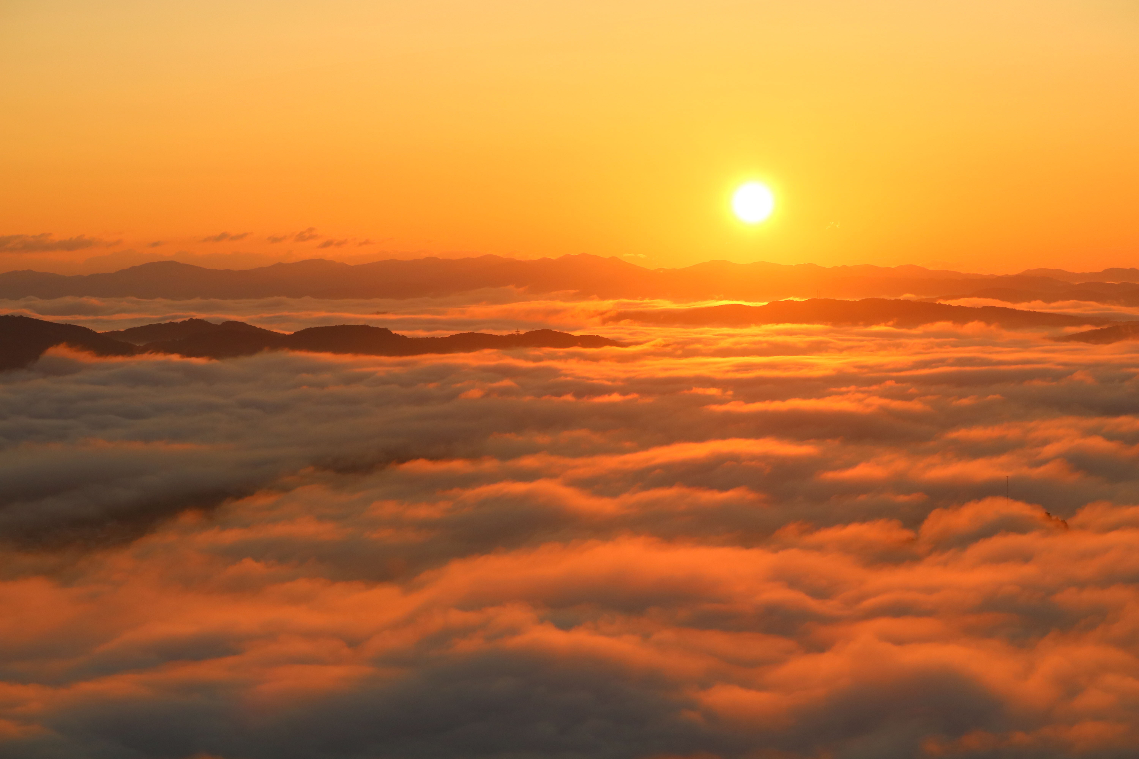 カメラを写真をもっと好きになる！写真部が発足したよ！