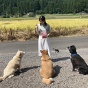 鈴木 さわな