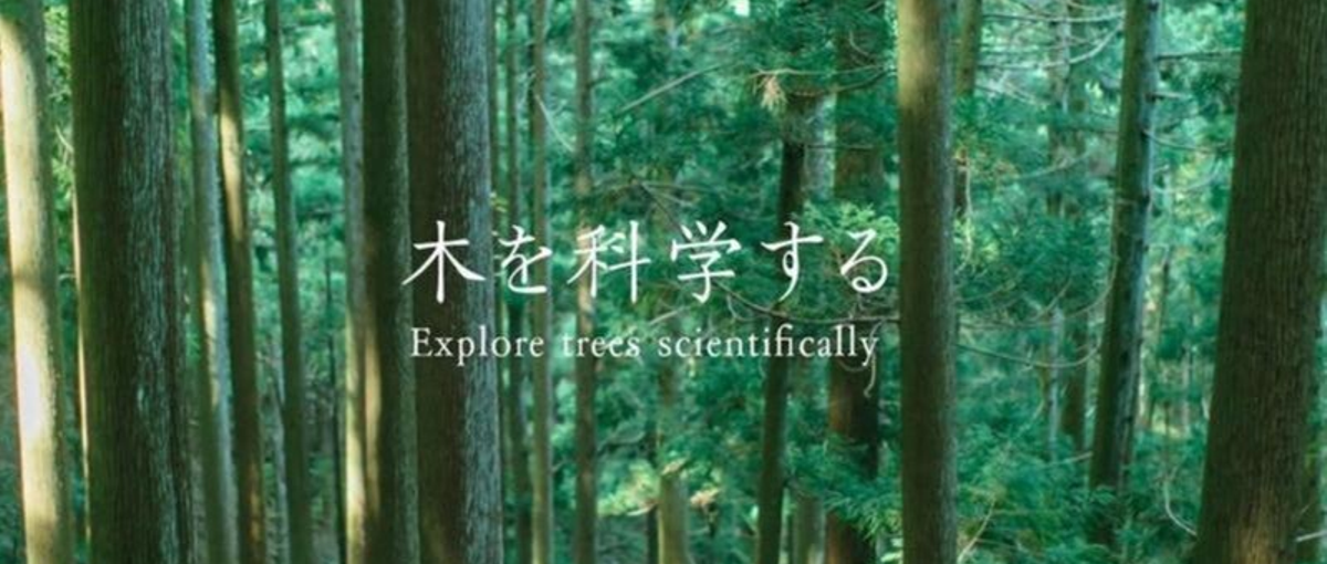 森の力を世界へ！日本のモノづくり企業の未来を支える新卒募集