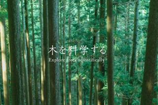 森の力を世界へ！日本のモノづくり企業の未来を支える新卒募集