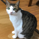 野平　誠也