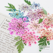 弊社の強みは「自社染色」「自社加工」！国産の生のお花を直接仕入れ、手作業で丁寧に加工しています。看板商品にもなっている「押し花」は、薄さや花の形状にもとことんこだわって仕上げています。可愛いだけでなく、使いやすさや品質の良さもブランドのファンを増やすうえで重要な要素です。