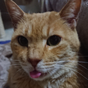 小西 リュウジロウ