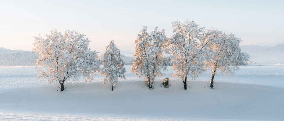 生成AI開発会社のデーセキュリティエンジニア募集！