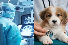 経験ゼロから、医療・動物医療を支えるスペシャリストに。
