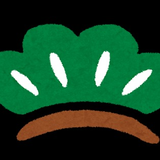 M Matsui