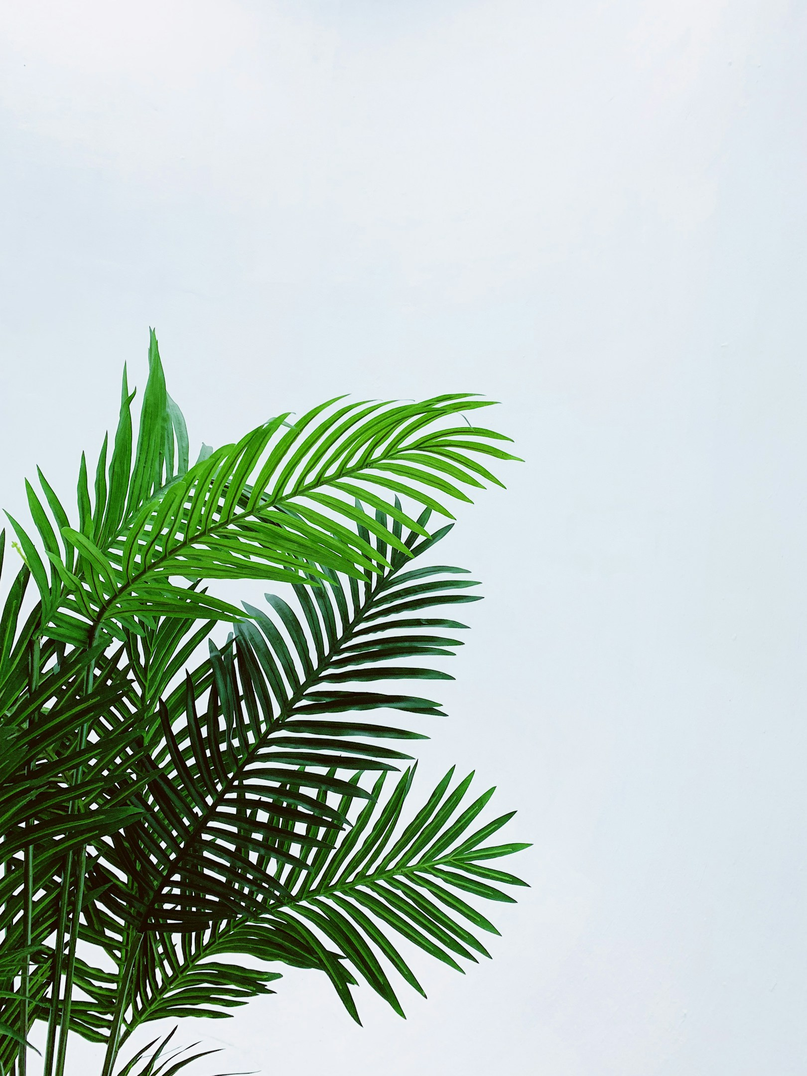 寄り添う力を、デザインに。