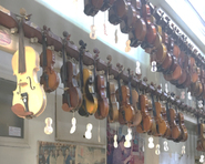 海外の市場は我々にとって"非常識"なことばかりで、新発見の毎日です！