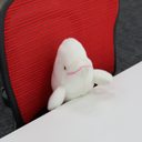 Belugaくん