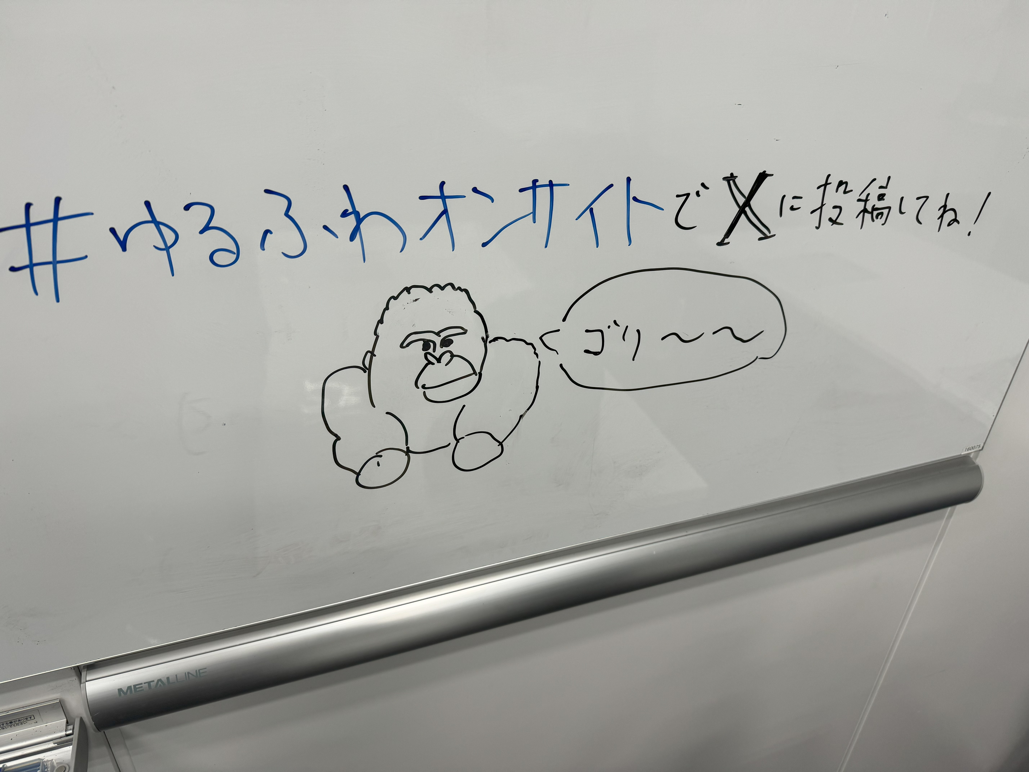 「ゆるふわ競技プログラミングオンサイト at FORCIA #8」を開催しました