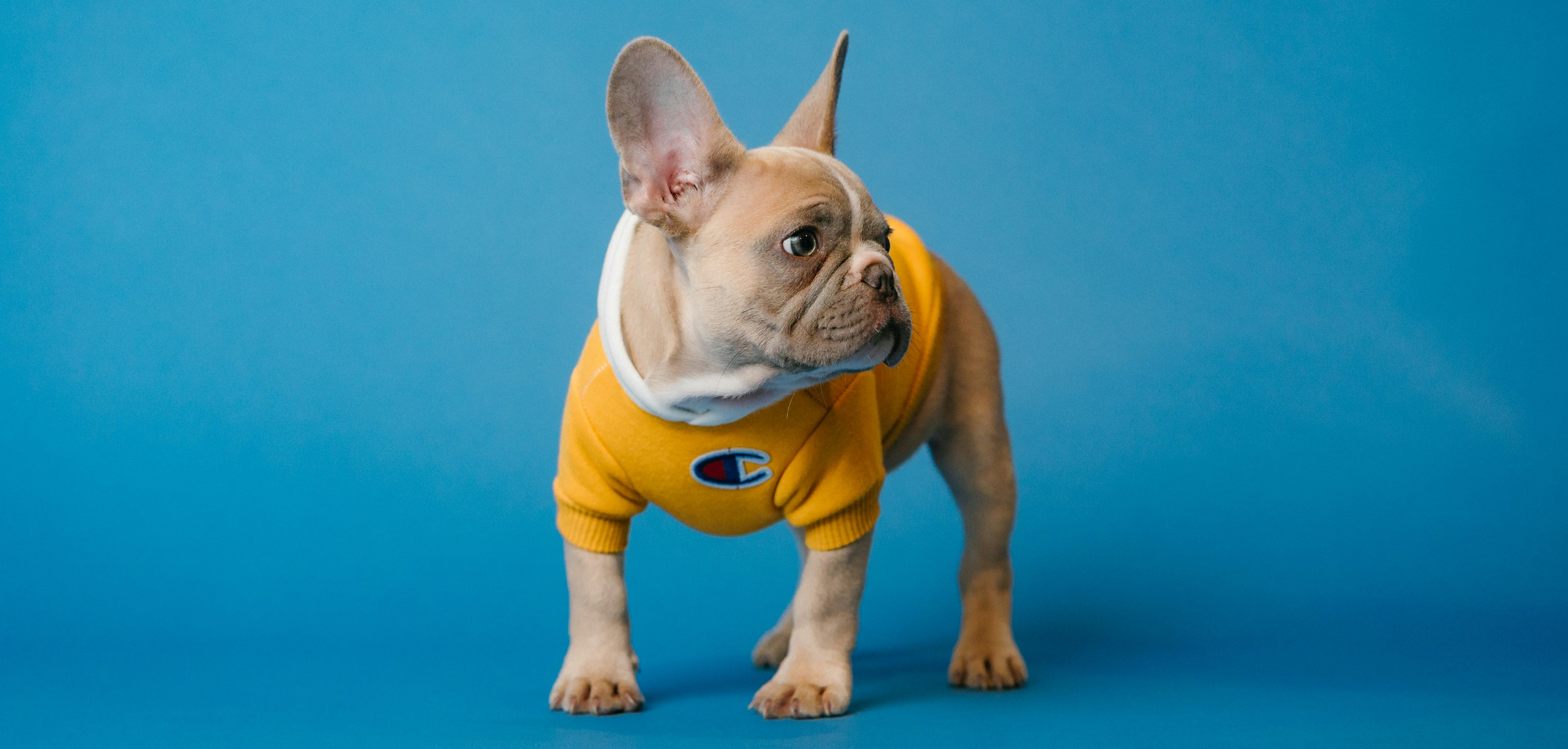 VOGUE風30の質問答えてみた