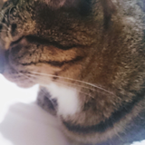 イガラシユキ