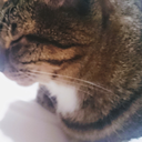 イガラシユキ