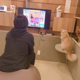 一友 藁谷