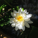 Kouhei Okamoto