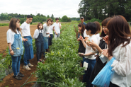 様々な勉強会