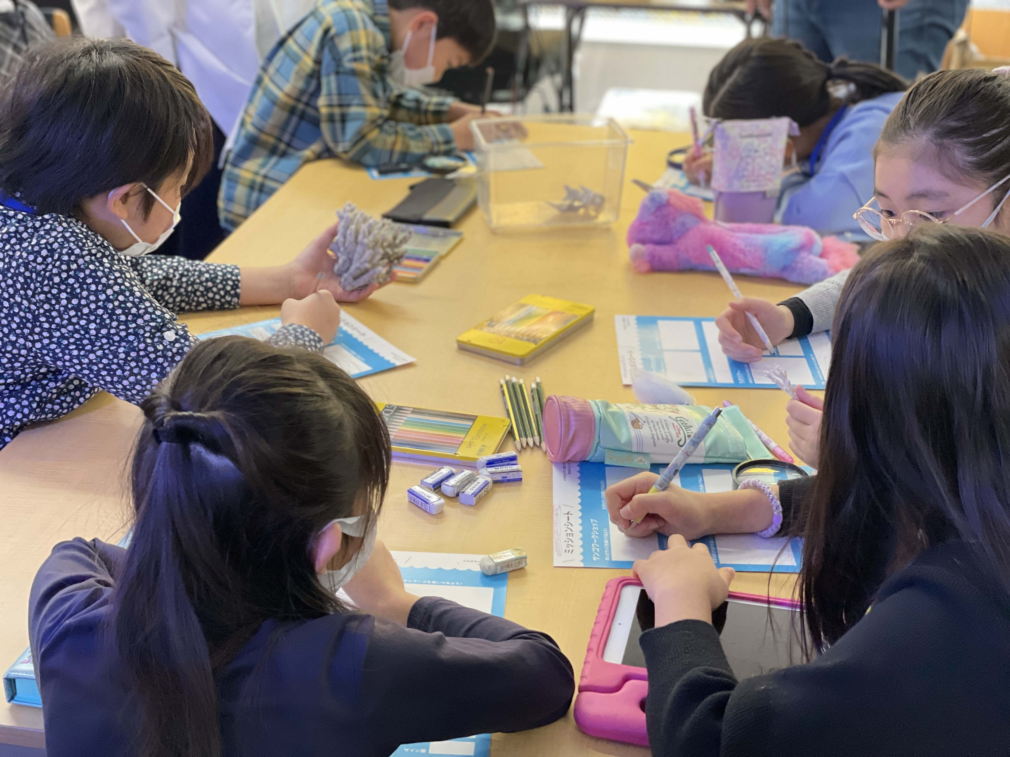 とらのもんサンゴ礁ラボ、ついに開講です！