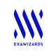 About ExaWizards Inc.