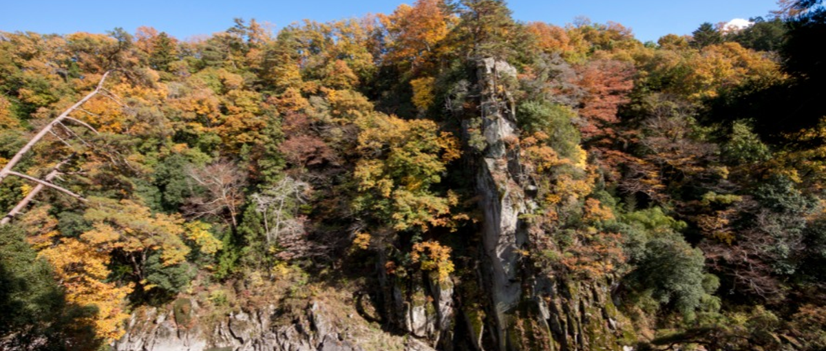 住みたい田舎1位！自然に囲まれたハイテク都市で新たなキャリアを築こう