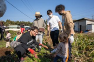 社内サツマイモ堀り実施の様子