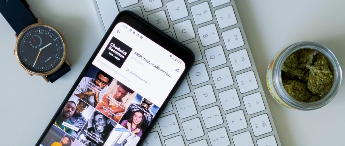 TikTok｜動画コンテンツの企画・制作で事業成長を支援するマーケコンサル