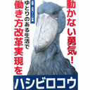 Kazuki Koyama